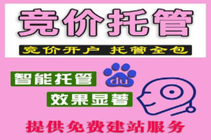 谷歌竞价案例：家居行业广告投放技巧解析